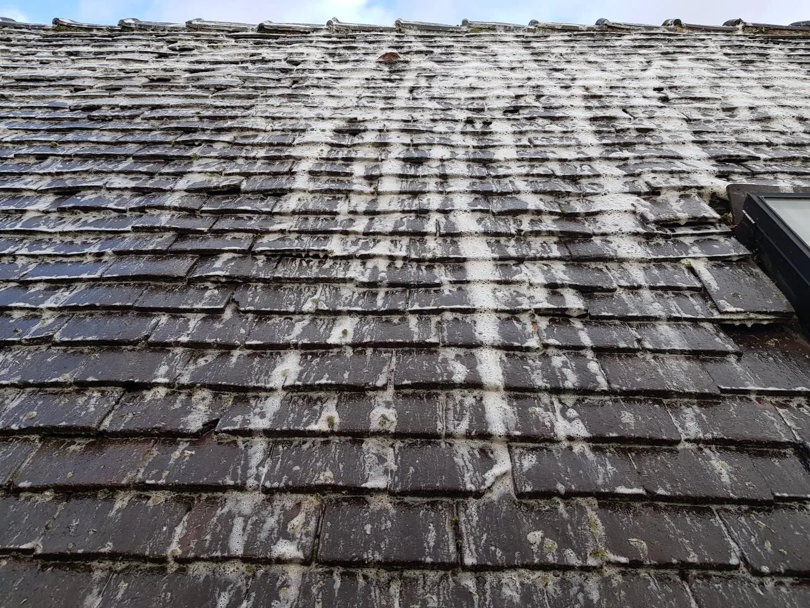 Roof cleaning and soft-washing in Derby
