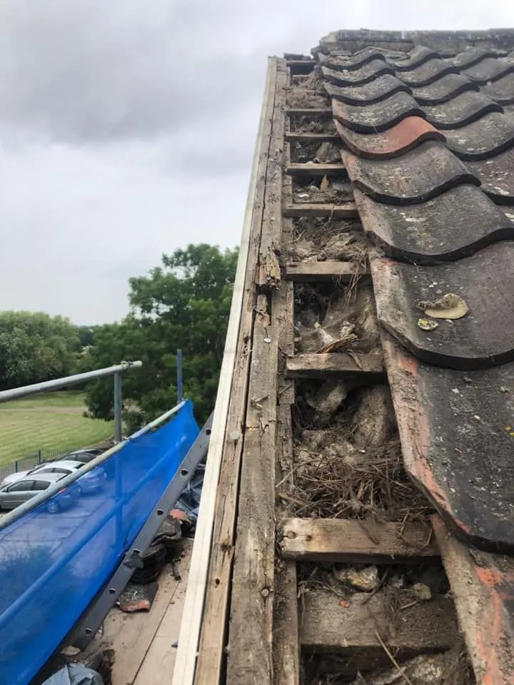 Roof and chimney repair work priced and carried out in Derby